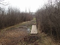 Cherry Hill Nature Preserve 2017.  They needed a whole lot more boardwalk if they meant to keep peoples feet dry! : kasdorf, nature preserve, Rave Run, running, Trail Run